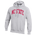 Champion NCAA Wordmark Hoodie - Men's Silver Grey Heather