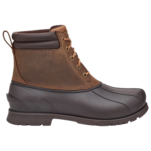 Shop Ugg Mens  Gatson Mid In Chestnut