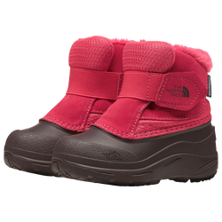 Boys' Toddler - The North Face Alpenglow - Paradise Pink/Root Brown