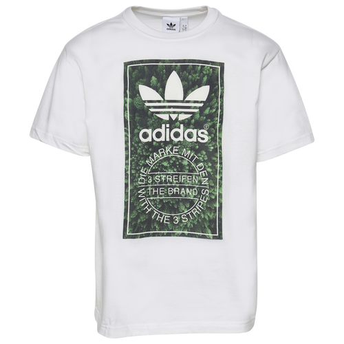 

adidas Mens adidas Tree Fill T-shirt - Mens White/Green Size S
