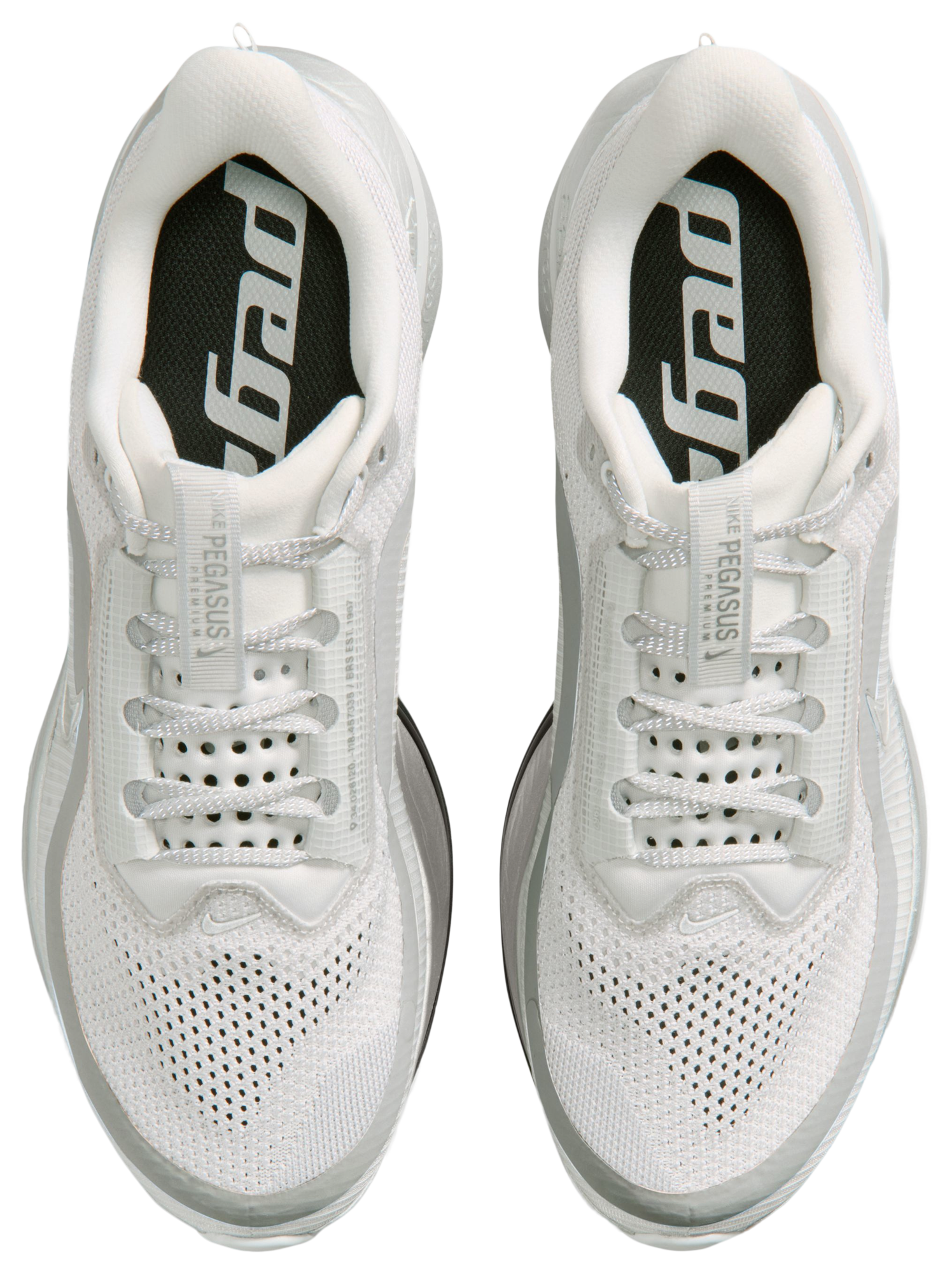 Nike Pegasus Premium RR  - Men's