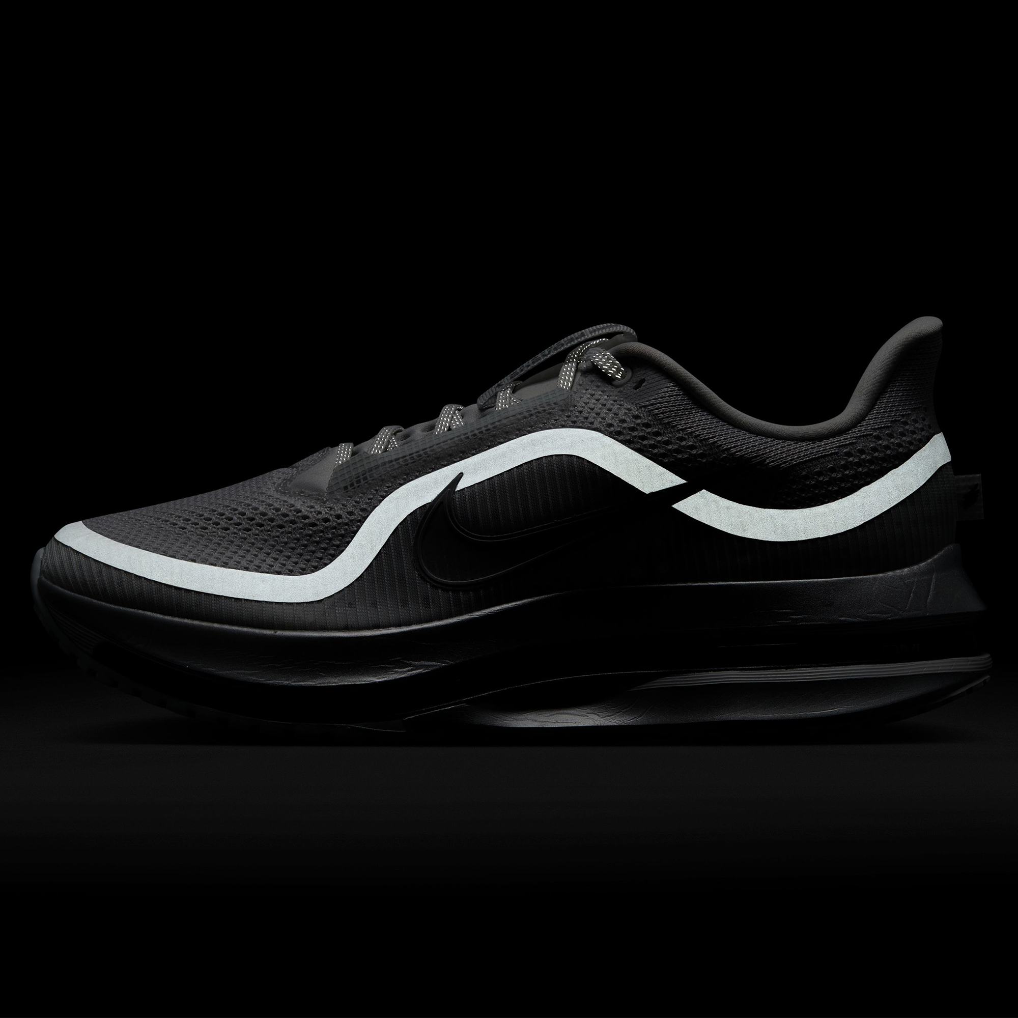 Nike Pegasus Premium RR  - Men's