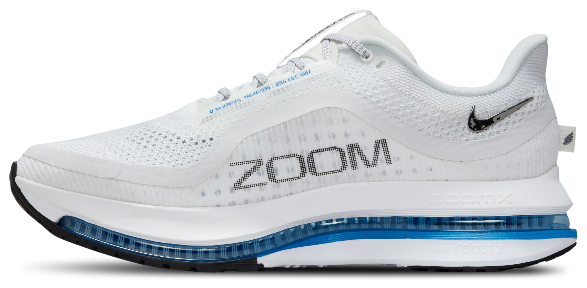 Nike Pegasus Premium