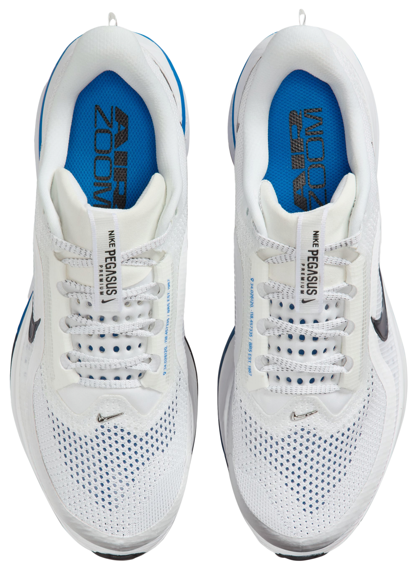 Nike Pegasus Premium