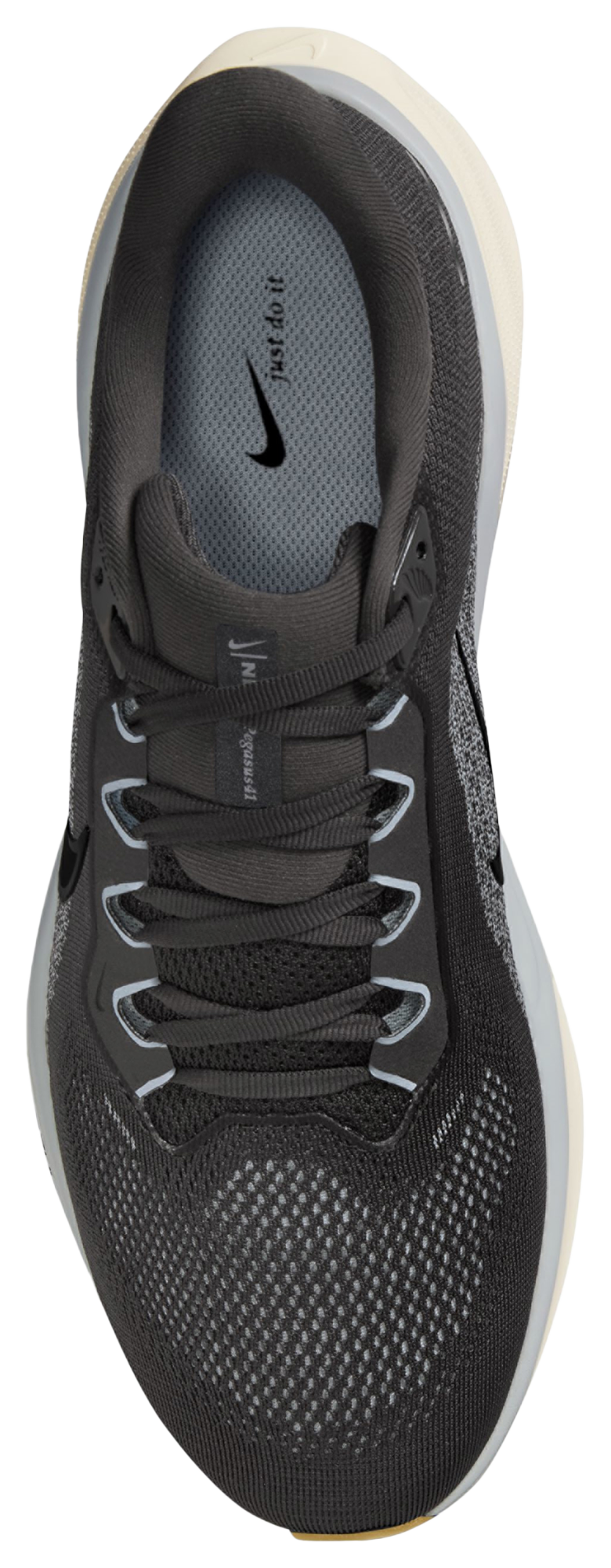 Nike Air Zoom Pegasus 41