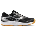 Silver/Black