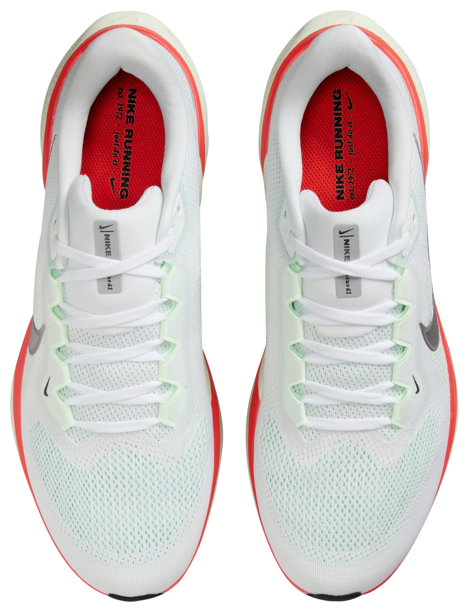 Nike Air Zoom Pegasus 41