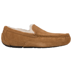 Men's - UGG Ascot - Beige/Beige