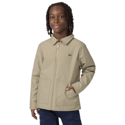 Boys' Grade School - Lacoste Patch Pocket Jacket - Viennois/Green