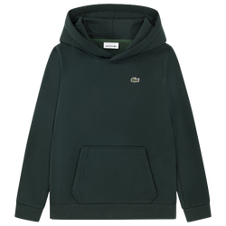 Boys' Grade School - Lacoste Core Fleece Pullover Hoodie - Sinople/Green