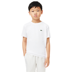 Boys' Grade School - Lacoste Classic Logo Sport T-Shirt - Blanc/Green