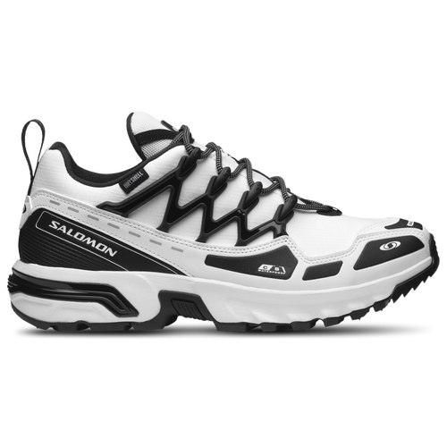 靴 30cm SALOMON ACS + CSWP SALOMON ACS + CSWP LunRoc/Silver Metall（サロモン エー