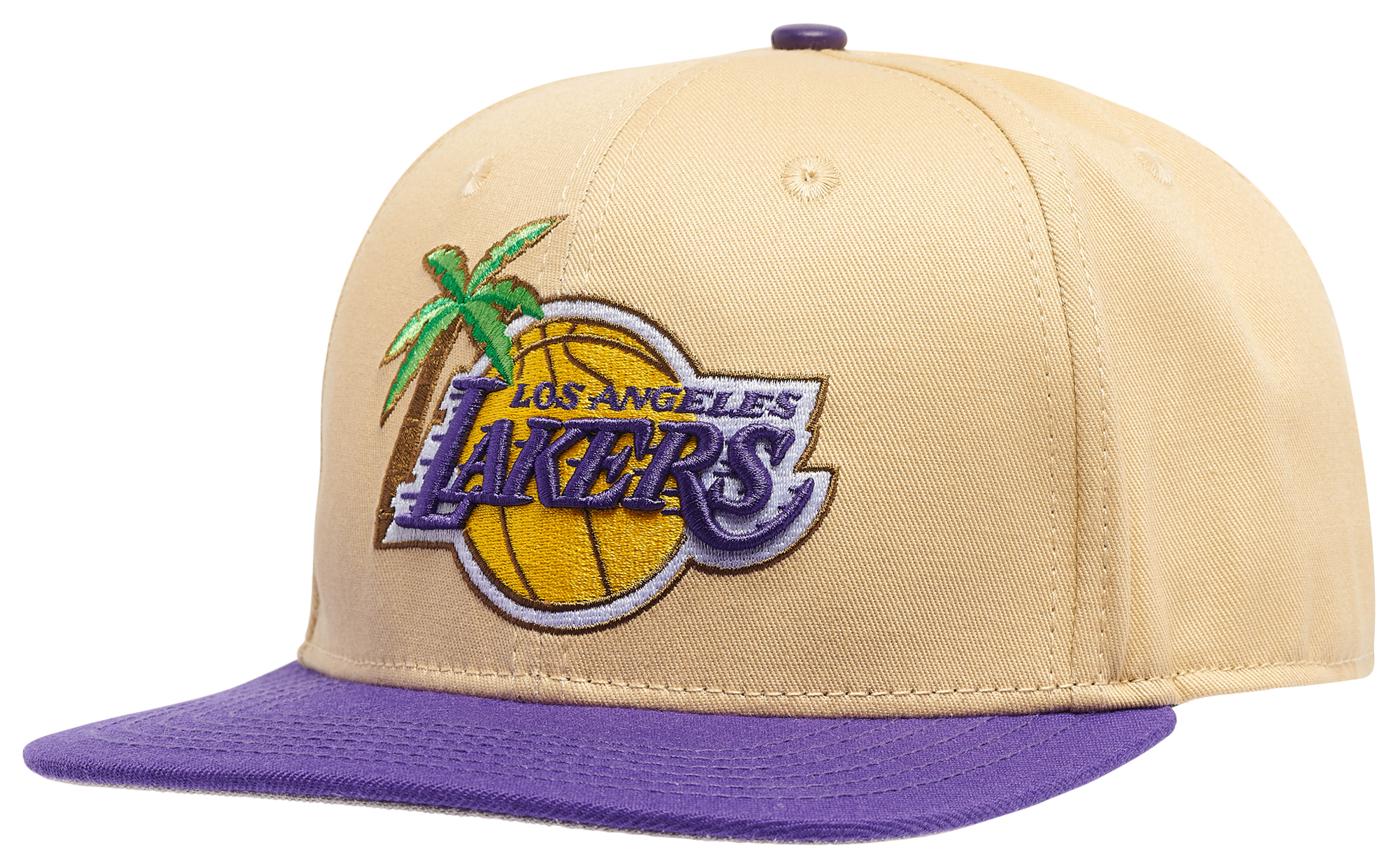 LOS ANGELES LAKERS LOGO SNAPBACK HAT OMBRE (BLUE/WHITE/PINK) – Pro Standard