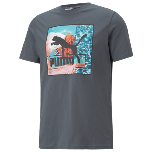 

PUMA Mens PUMA Vacation Vibe T-Shirt - Mens Grey Size M