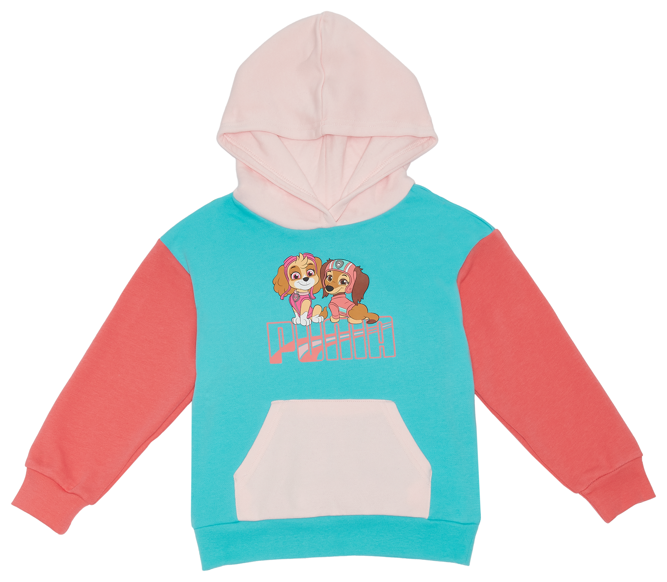 Paw patrol skye discount hoodie