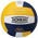 Tachikara SV-5WSC Volleyball - Adult