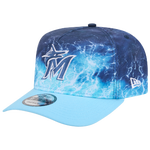 Blue/Teal