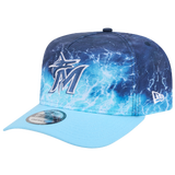 Blue/Teal