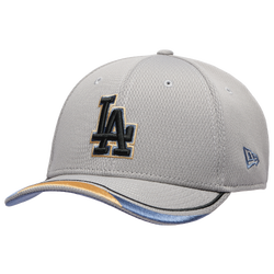 Men's - New Era 940MC  DL LA Dodgers - Gray/Multi