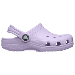 Girls' Toddler - Crocs Classic Clogs - Purple