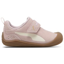 Girls' Toddler - PUMA Kitten Premium V  - Frosted Ivory/Mauve Mist/Gold