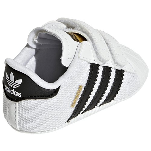 Infant superstars best sale