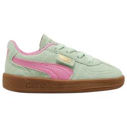 Girls' Toddler - PUMA Palermo TD  - Green/Brown/Pink