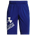 Under Armour Prototype 2.0 Logo Shorts - Boys' Grade School Royal/White