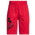 Under Armour Prototype 2.0 Logo Shorts - Boys' Grade School Black/Red