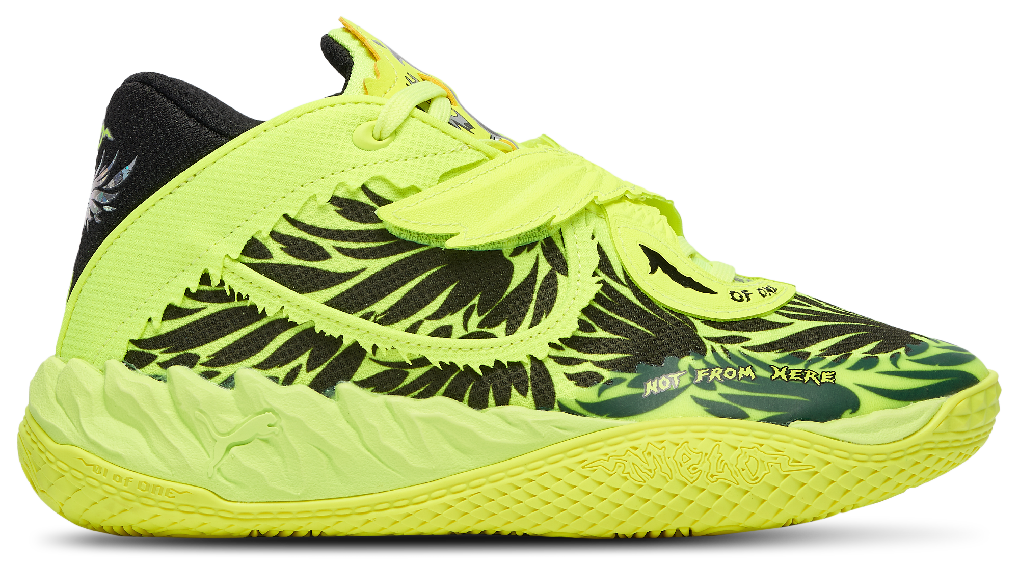 PUMA MB.05 Voltage