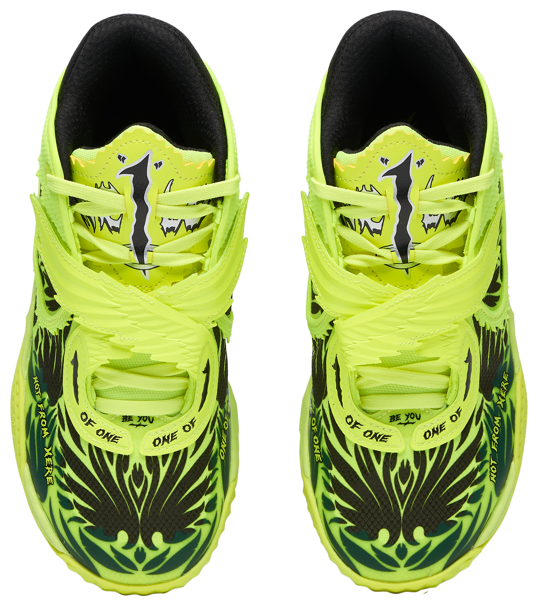 PUMA MB.05 Voltage