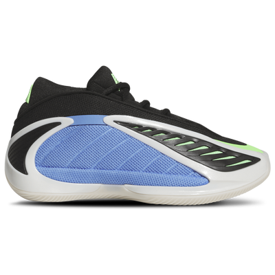 adidas Originals AE2 Grade School - BLUE/ZERO METALLIC/LIME BURST