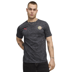 Men's - PUMA Fanpack Mexico Graphic Tee - Black/Red