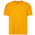 CSG Basic T-Shirt - Men's