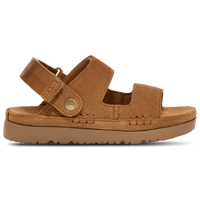 Chestnut