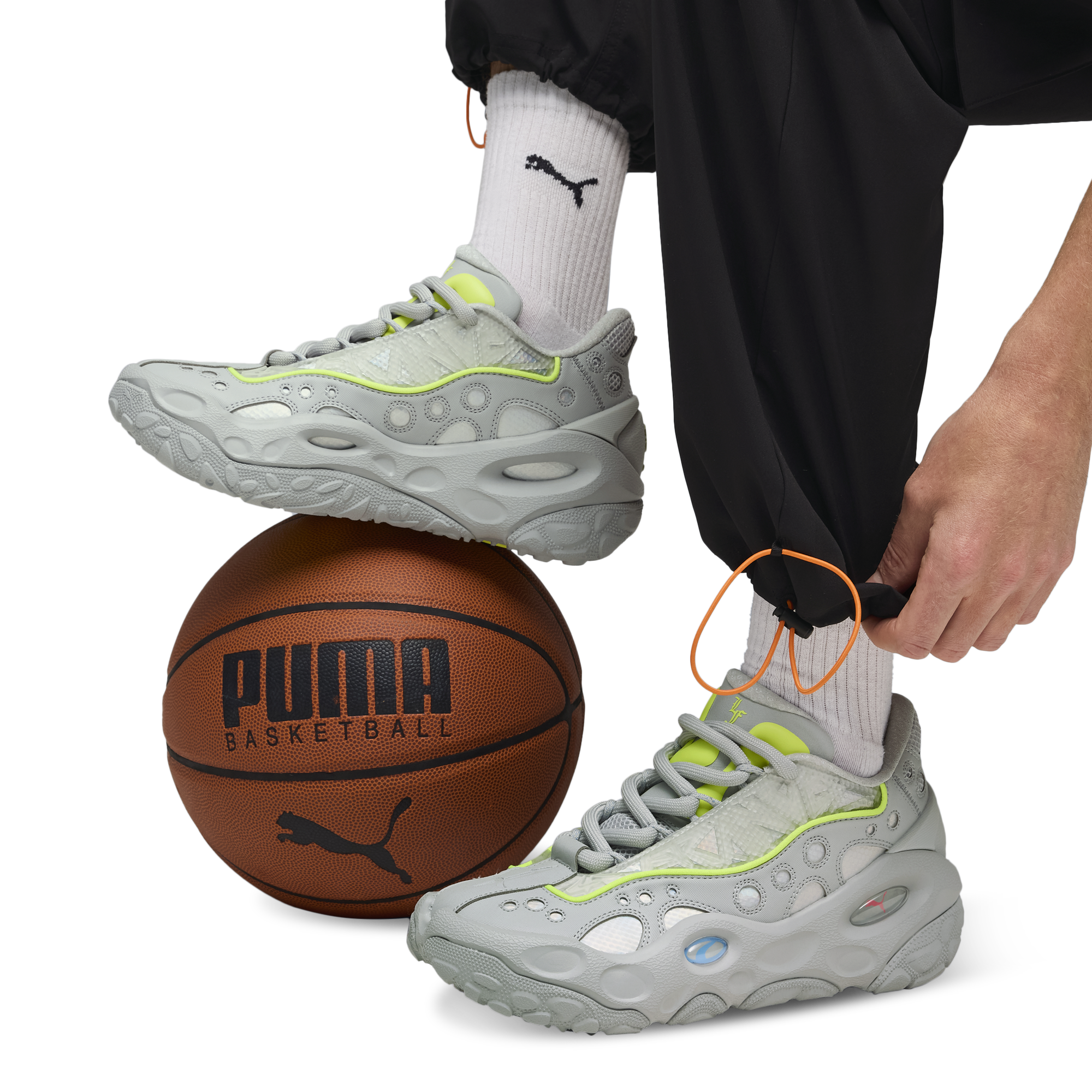 PUMA LaFrance RNR Solar