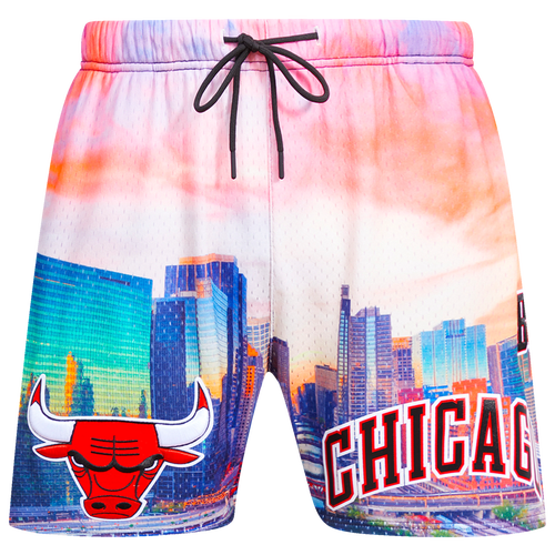 Pro Standard Chicago Bulls Cityscape Bike Shorts