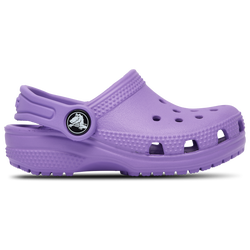 Boys' Toddler - Crocs Classic Clogs - Purple/Purple