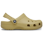 Wheat
