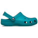 Turbo Teal
