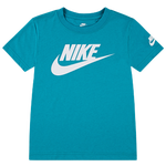 Dusty Cactus