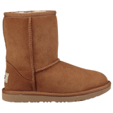 Chestnut/Brown