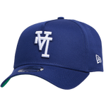 Blue/White
