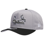 Silver/Black/Grey