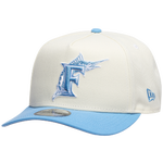 Silver/Carolina