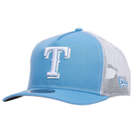 Blue/Tan