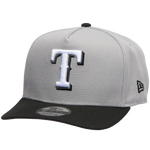 Gray/Black