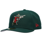 Multi/Dark Green