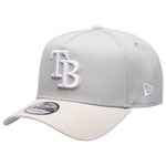 Gray/Silver