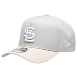 Gray/Silver